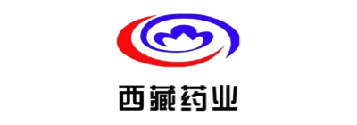 以指標(biāo)為核心的ABI平臺(tái)打造“決策大腦”