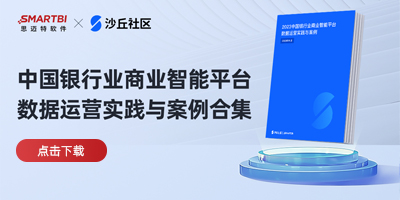 中國(guó)銀行業(yè)商業(yè)智能平臺(tái)數(shù)據(jù)運(yùn)營(yíng)實(shí)踐與案例