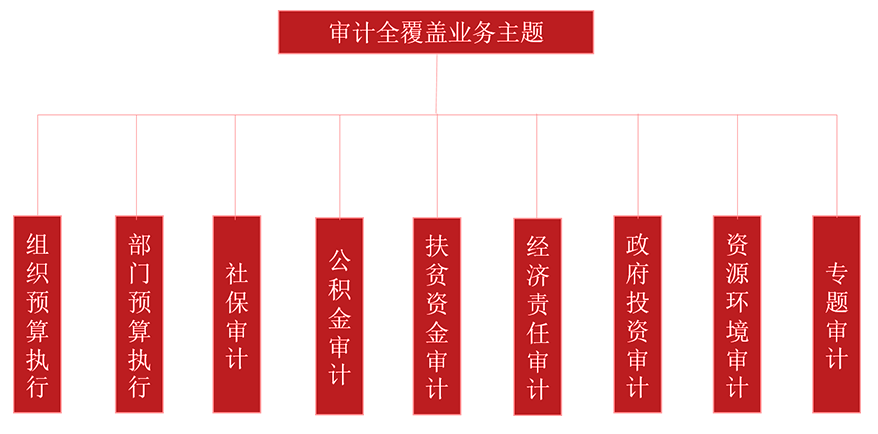 審計(jì)全覆蓋業(yè)務(wù)主題