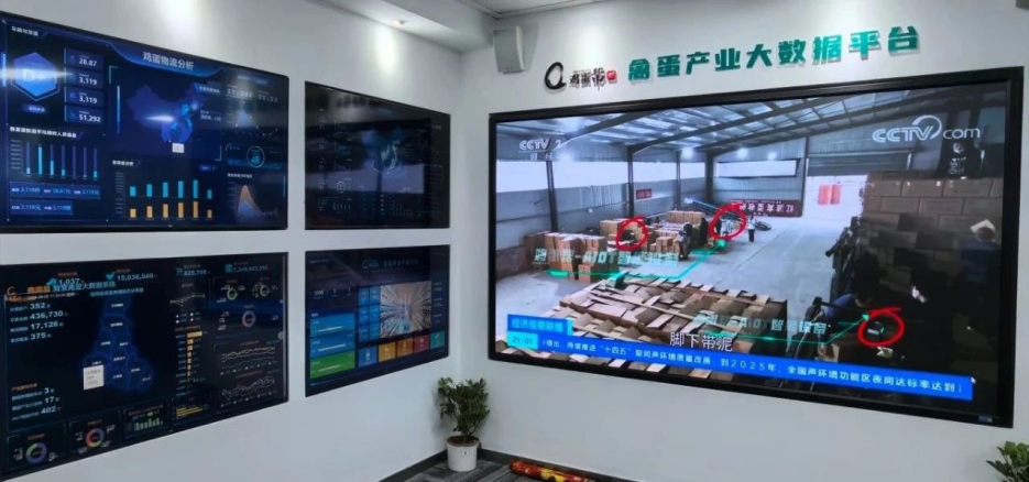 思邁特助力國內(nèi)最大禽蛋產(chǎn)業(yè)服務(wù)平臺雞蛋幫獲評“2024數(shù)據(jù)要素x”大賽河北分賽“發(fā)展?jié)摿Κ劇?/></p><p style=